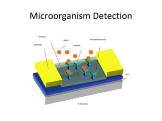 Microorganism Detection
     PEI/PEG
               algae                      Nanowire/Nanotube

Electrode              antibody




                                                              SiO2




                           Si Substrate
 