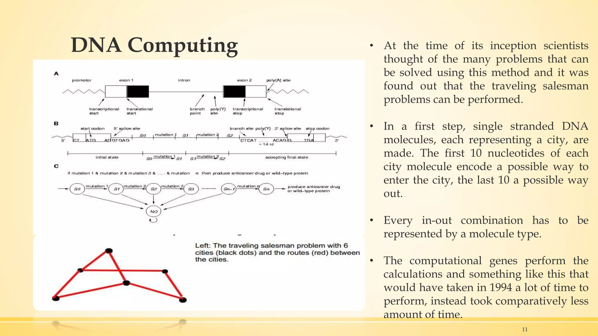 DNA Computing • At the time of its inception scientists
thought of the many problems that can
be solved using this method and it was
found out that the traveling salesman
problems can be performed.
• In a first step, single stranded DNA
molecules, each representing a city, are
made. The first 10 nucleotides of each
city molecule encode a possible way to
enter the city, the last 10 a possible way
out.
• Every in-out combination has to be
represented by a molecule type.
• The computational genes perform the
calculations and something like this that
would have taken in 1994 a lot of time to
perform, instead took comparatively less
amount of time.
11
 