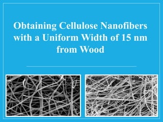 Obtaining Cellulose Nanofibers
with a Uniform Width of 15 nm
from Wood
 