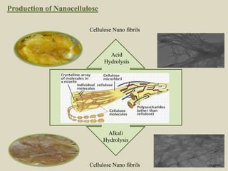 Acid
Hydrolysis
Alkali
Hydrolysis
Cellulose Nano fibrils
Cellulose Nano fibrils
Production of Nanocellulose
10
 