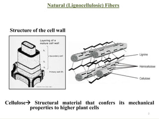 Natural (Lignocellulosic) Fibers
Structure of the cell wall
Cellulose Structural material that confers its mechanical
properties to higher plant cells
2
 