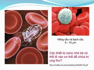 Các thiết bị nano nhỏ bé có
thể đi vào cơ thể để chữa trị
ung thư?
http://smalley.rice.edu/emplibrary/SA285-76.pdf
Hồng cầu và bạch cầu
6 - 10 m
 