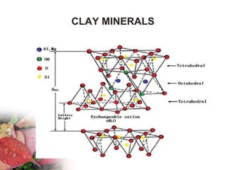 CLAY MINERALS
 