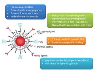 • Polybutylacrylate (hydrophobic)
• Polyethylacrylate (hydrophobic)
• Polymethacrylic acid (hydrophilic)
• Hydrophobic hydrocarbon side chain
• For improved biocompatibility
• Prevents non specific binding
• For in vivo protection
• Prevent particles aggregation
• Prevent fluorescence loss
• Make them water soluble
• peptides, antibodies, oligonucleotides etc.
• For tumor antigen recognition
 