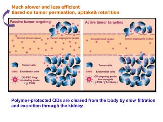 Much slower and less efficient
Based on tumor permeation, uptake& retention
Polymer-protected QDs are cleared from the body by slow filtration
and excretion through the kidney
 