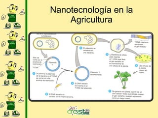 Nanotecnología en la Agricultura