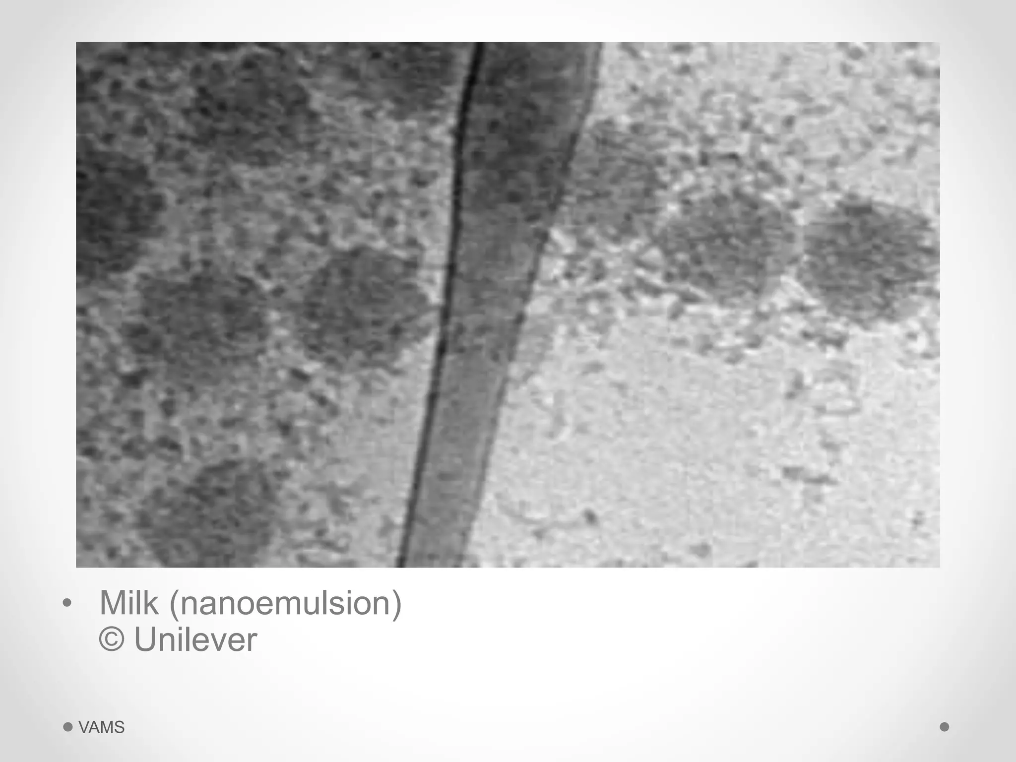 • Milk (nanoemulsion) 
© Unilever 
VAMS 
 