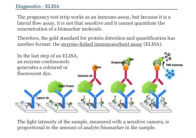 pregnancy to home strip do at how test de of Maurits for the Planque Nanodevices disease by detection pregnancy to home strip do at how test de of Maurits for the Planque Nanodevices disease by detection