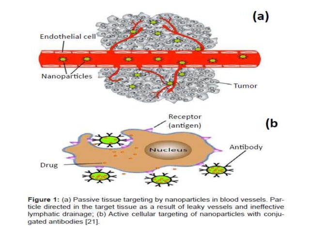 Nano drug delivery system for the cancer therapy | PPTX | Cancer ...