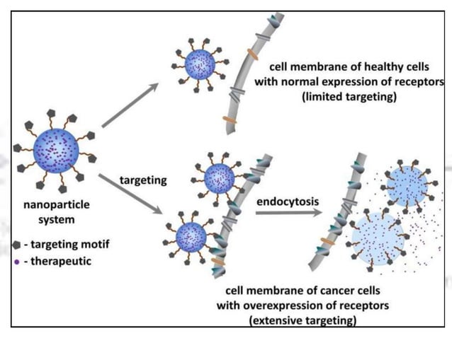 Nano drug delivery system for the cancer therapy | PPT