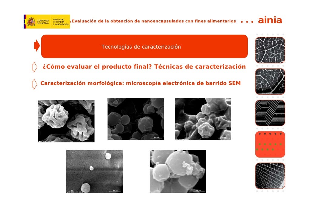 nanoencapsulacion