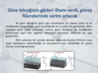 Güve böceğinin gözleri ilham verdi, güneş
hücrelerinde verim artacak
Bir güve böceğinin gözü ışığı yansıtmayan bir yapıya sahip ve bu
özelliğinden dolayı böcek, gece karanlığında en az ışıkla bile görebiliyor. Bilim
adamları uzun süren çalışmalar sonucu güve böceğinin bu özelliğinden
esinlenerek zayıf film aygıtları arasındaki yansımayı azaltacak bir yapı
geliştirdiler.
Bilim adamları bir sonraki adımda, yapısında bulunan filmlere nano
yapılı tabakaların eklenebildiği ve sonuçlarının test edilebildiği bir güneş
hücresi üretmeği planlıyor
22Nano Enerji
 