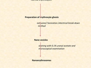 <ul><li>Normal erythrocytes </li></ul><ul><li>Preparation of erythrocyte ghosts </li></ul><ul><li>extrusion/ Sonication /e...