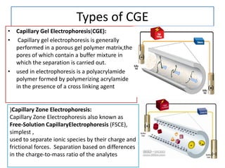 Cge Electropherogram Nanofiltration&electrophoresis | PPTX