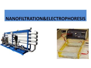 NANOFILTRATION&ELECTROPHORESIS
 