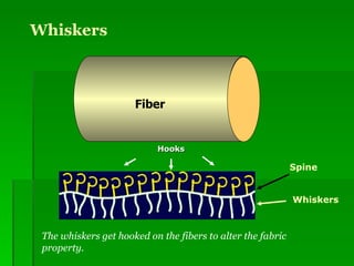 Whiskers Spine Hooks Whiskers Fiber The whiskers get hooked on the fibers to alter the fabric property. 