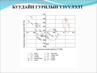БУУДАЙН ГУРИЛЫН ҮЗҮҮЛЭЛТ 