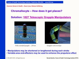 Future of Health Technology Institute, Hopkinton MA,USA

www.fhti.org

Common Sense in Health – Save Lives, Reduce Suffering

Chromallocyte – How does it get places?
Solution: 1027 Telescopic Grapple Manipulators

© Robert A. Freitas Jr. , Journal of Evolution
and Technology - Vol. 16 Issue 1 June 2007

Fully extended grapple - 250 nm

© Robert A. Freitas Jr. , Journal of Evolution and
Technology - Vol. 16 Issue 1 June 2007

Grapple work envelope

• Manipulators may be shortened or lengthened during each stroke
• Variable-area end-effectors may be used to enhance the propulsive effect
© 1996-20078 FHTI. All Rights Reserved.

Renata Bushko, Future of Health Technology Institute (FHTI)

 