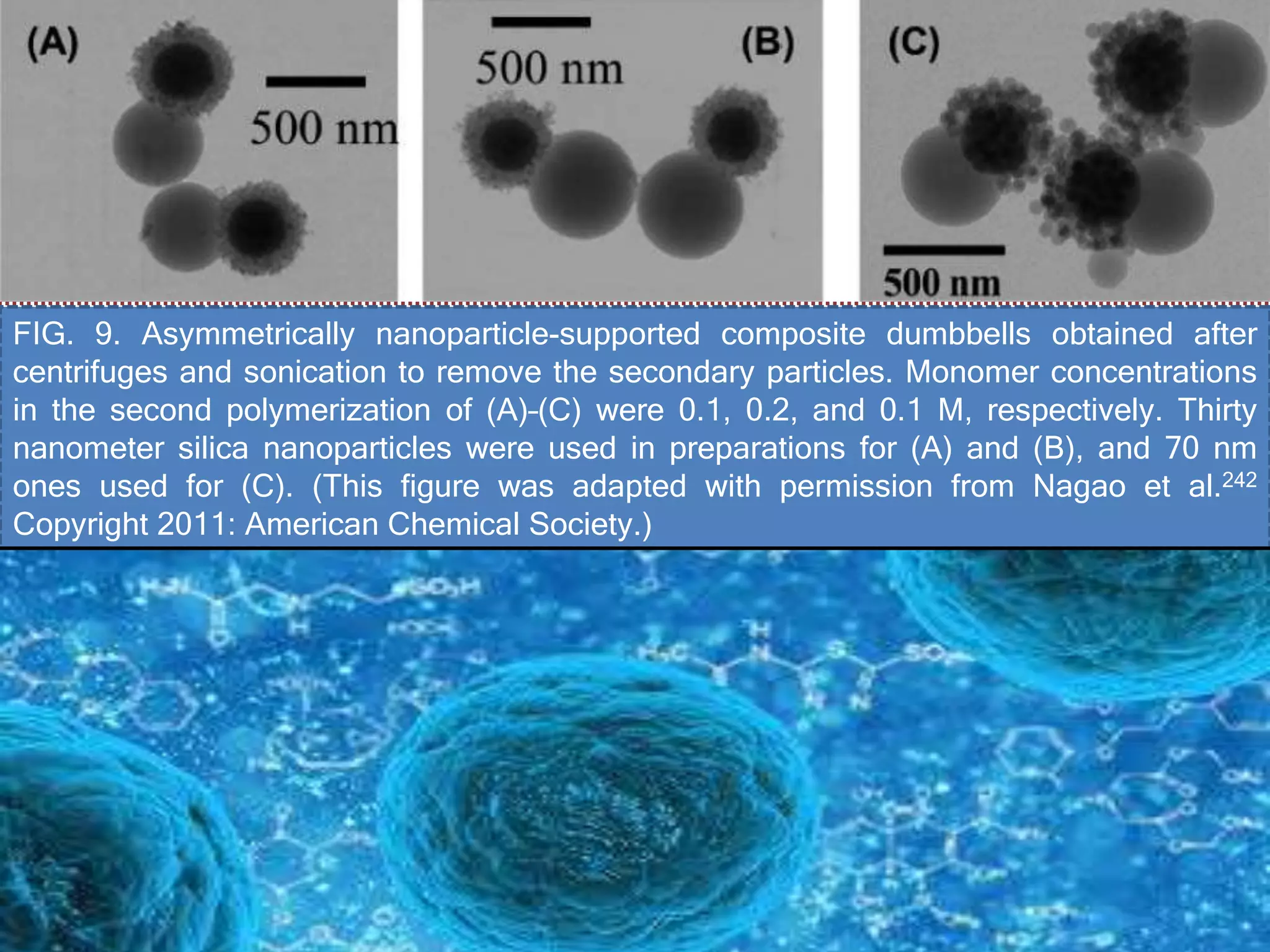 FIG. 9. Asymmetrically nanoparticle-supported composite dumbbells obtained after
centrifuges and sonication to remove the secondary particles. Monomer concentrations
in the second polymerization of (A)–(C) were 0.1, 0.2, and 0.1 M, respectively. Thirty
nanometer silica nanoparticles were used in preparations for (A) and (B), and 70 nm
ones used for (C). (This figure was adapted with permission from Nagao et al.242
Copyright 2011: American Chemical Society.)
 