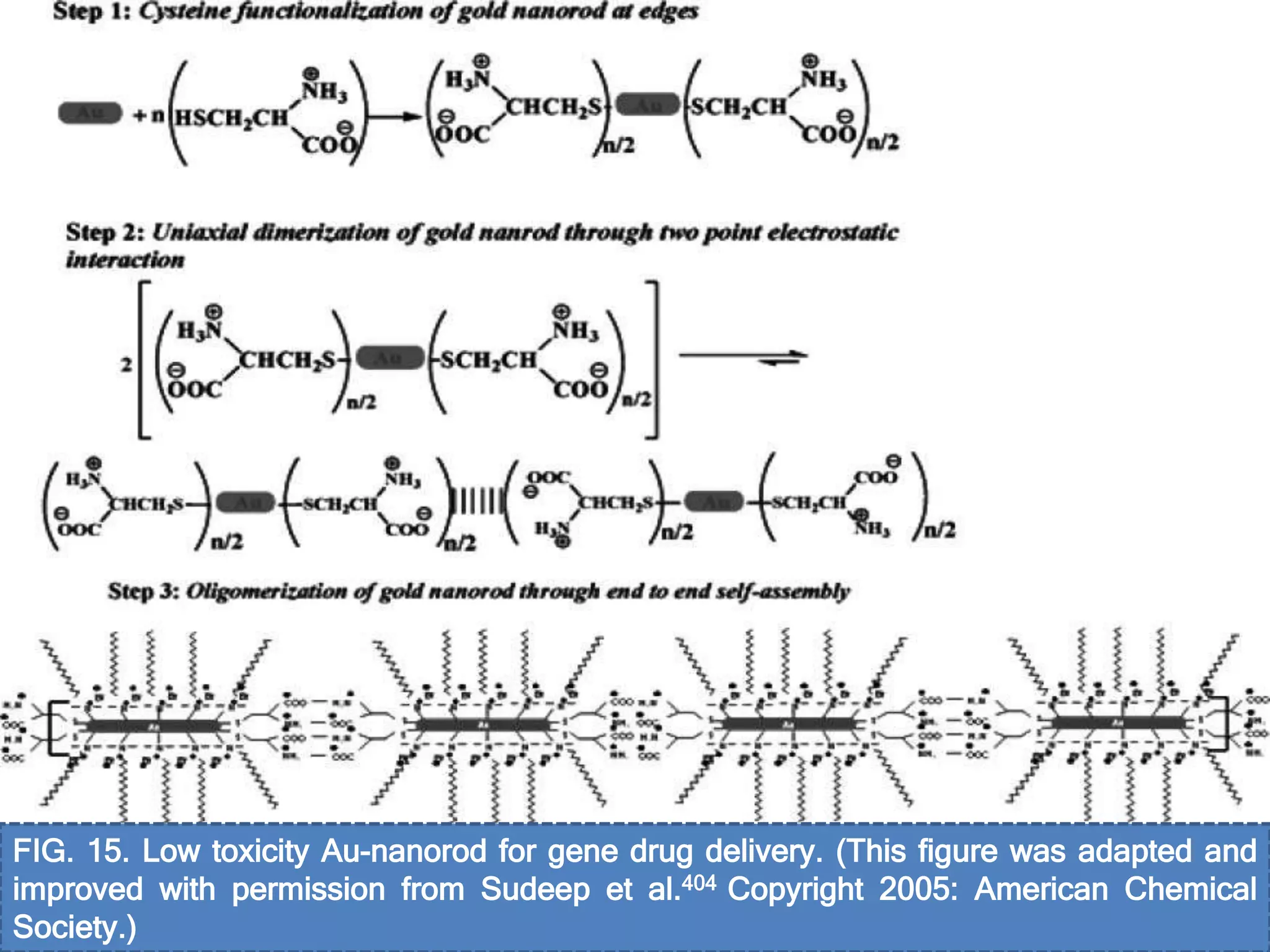 FIG. 15. Low toxicity Au-nanorod for gene drug delivery. (This figure was adapted and
improved with permission from Sudeep et al.404 Copyright 2005: American Chemical
Society.)
 