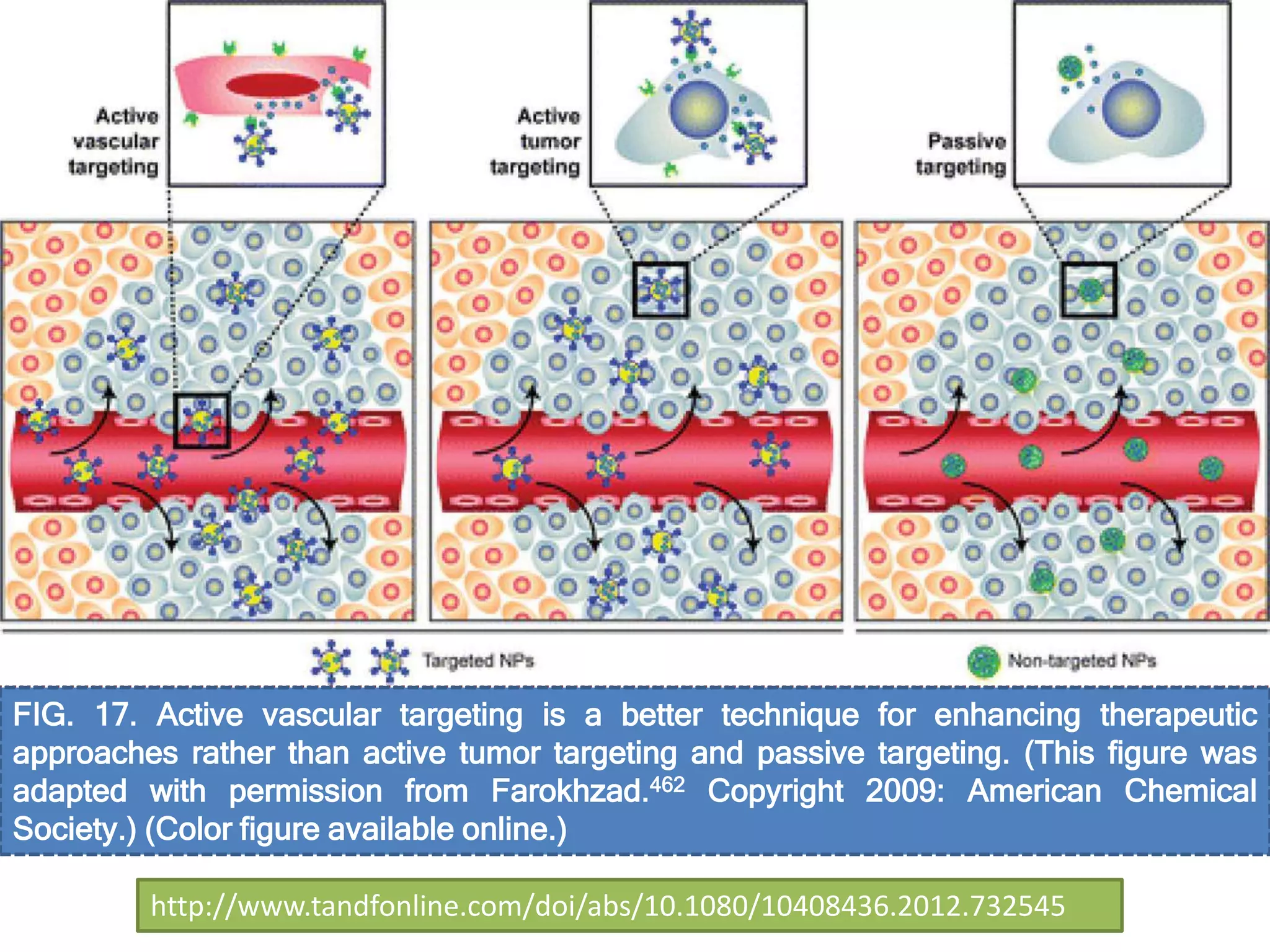 FIG. 17. Active vascular targeting is a better technique for enhancing therapeutic
approaches rather than active tumor targeting and passive targeting. (This figure was
adapted with permission from Farokhzad.462 Copyright 2009: American Chemical
Society.) (Color figure available online.)
http://www.tandfonline.com/doi/abs/10.1080/10408436.2012.732545
 