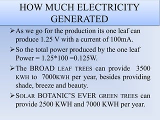 HOW MUCH ELECTRICITY
GENERATED
As we go for the production its one leaf can
produce 1.25 V with a current of 100mA.
So the total power produced by the one leaf
Power = 1.25*100 =0.125W.
The BROAD LEAF TREES can provide 3500
KWH to 7000KWH per year, besides providing
shade, breeze and beauty.
SOLAR BOTANIC’S EVER GREEN TREES can
provide 2500 KWH and 7000 KWH per year.
 