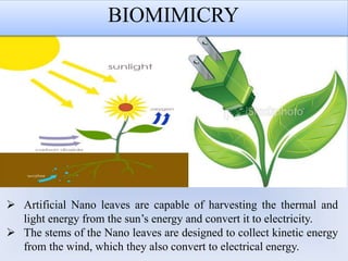  Artificial Nano leaves are capable of harvesting the thermal and
light energy from the sun’s energy and convert it to electricity.
 The stems of the Nano leaves are designed to collect kinetic energy
from the wind, which they also convert to electrical energy.
BIOMIMICRY
 