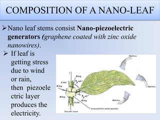 COMPOSITION OF A NANO-LEAF
Nano leaf stems consist Nano-piezoelectric
generators (graphene coated with zinc oxide
nanowires).
 If leaf is
getting stress
due to wind
or rain,
then piezoele
ctric layer
produces the
electricity.
 