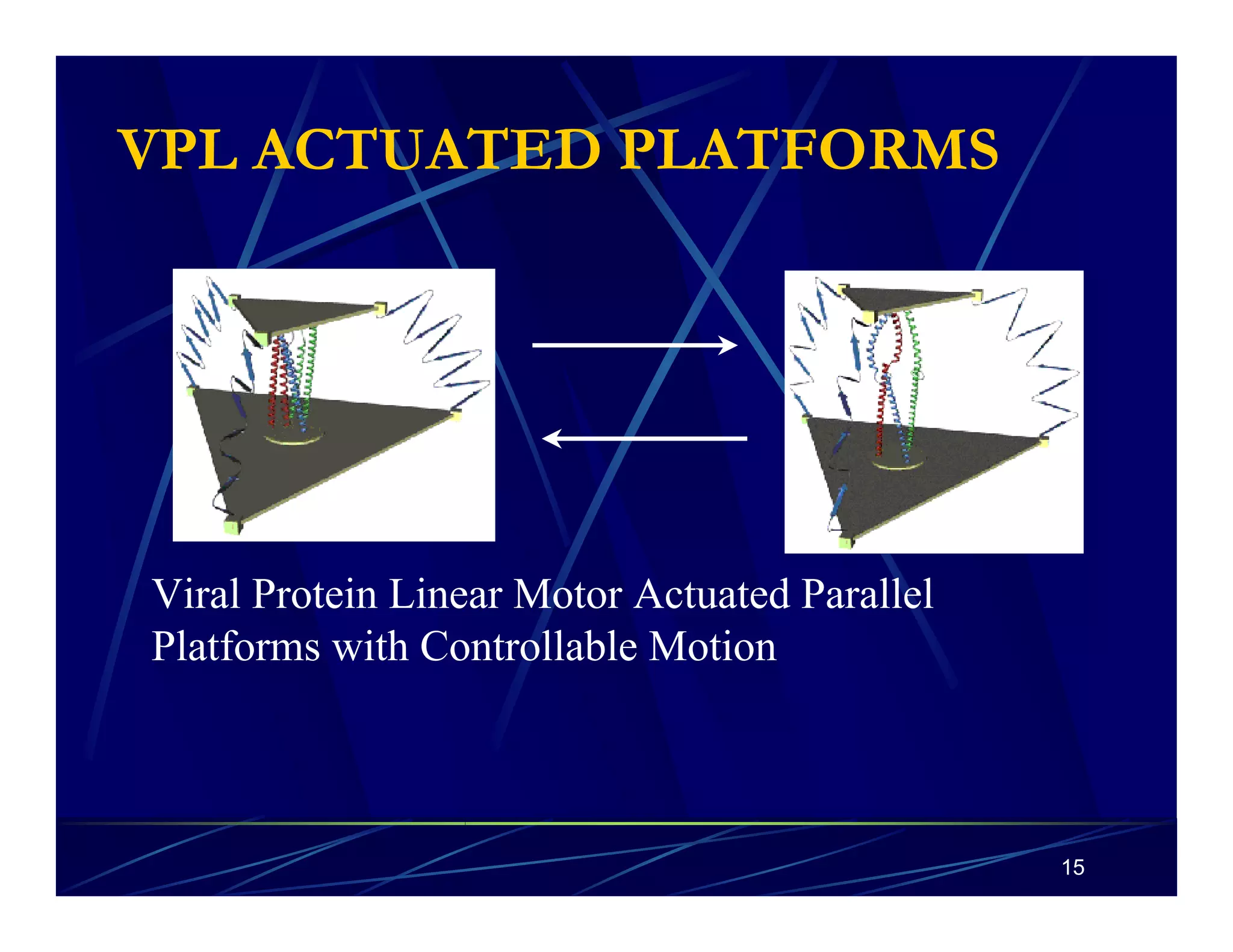 15 
VPL ACTUATED PLATFORMS 
Viral Protein Linear Motor Actuated Parallel 
Platforms with Controllable Motion 
 