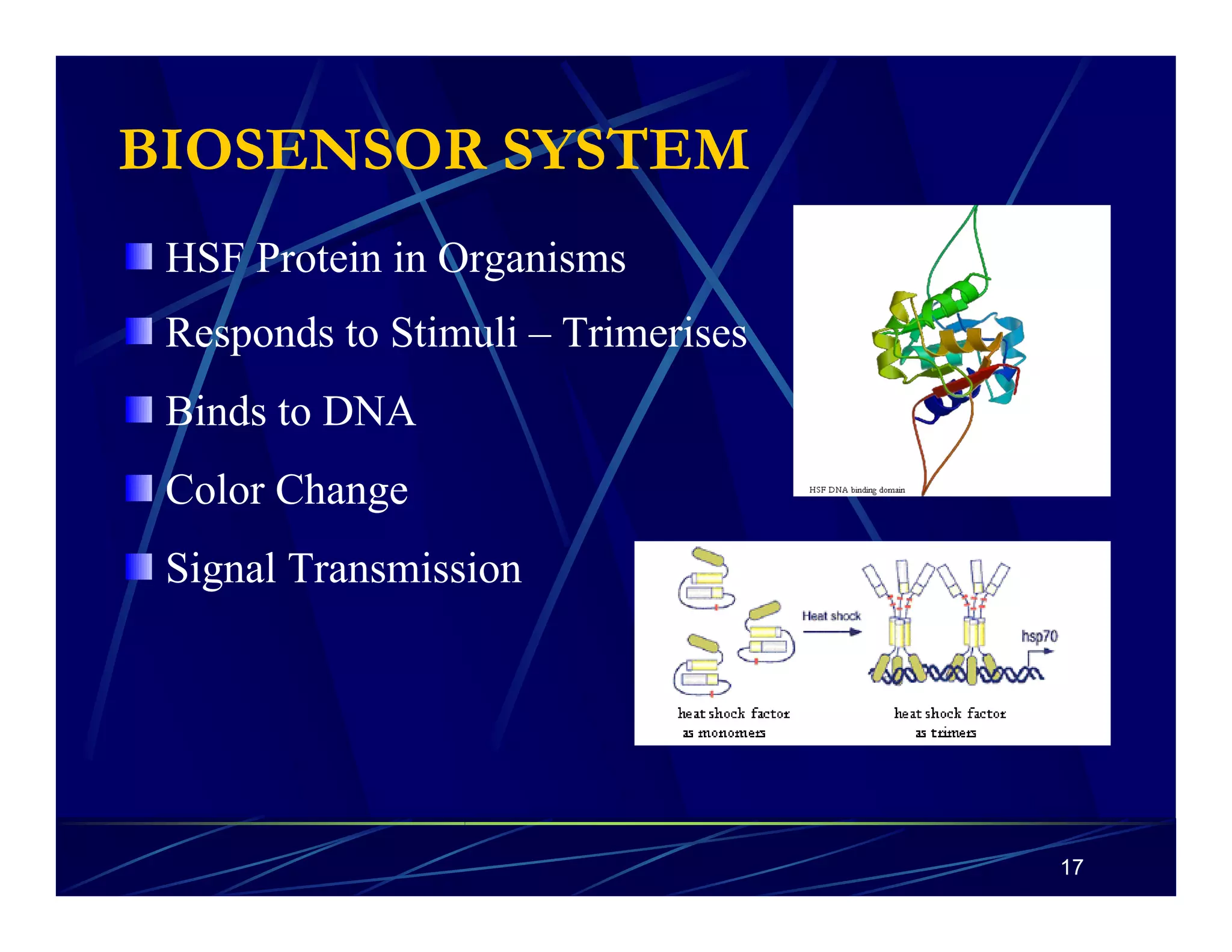 17 
BIOSENSOR SYSTEM 
HSF Protein in Organisms 
Responds to Stimuli – Trimerises 
Binds to DNA 
Color Change 
Signal Transmission 
 
