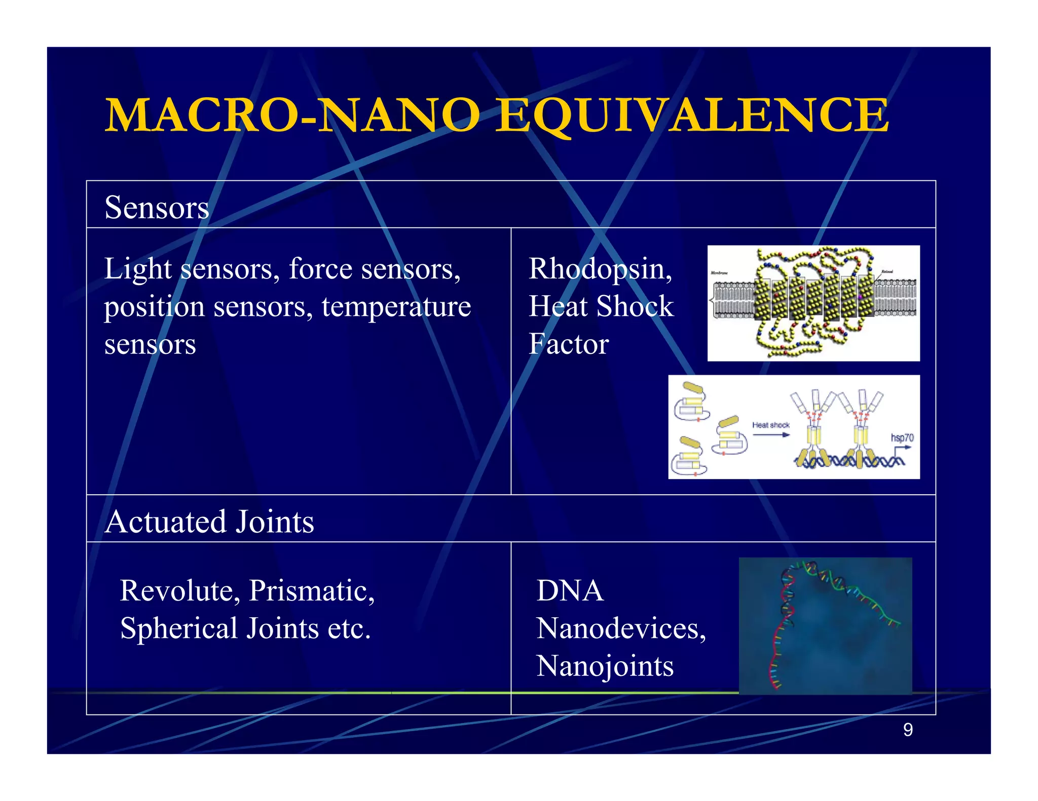 9 
MACRO-NANO EQUIVALENCE 
Sensors 
Light sensors, force sensors, 
position sensors, temperature 
sensors 
Actuated Joints 
Revolute, Prismatic, 
Spherical Joints etc. 
Rhodopsin, 
Heat Shock 
Factor 
DNA 
Nanodevices, 
Nanojoints 
 
