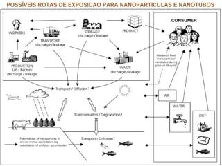 POSSÍVEIS ROTAS DE EXPOSICAO PARA NANOPARTICULAS E NANOTUBOS
 