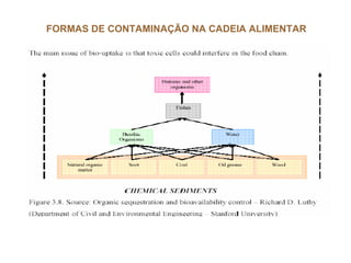 FORMAS DE CONTAMINAÇÃO NA CADEIA ALIMENTAR
 