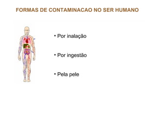 FORMAS DE CONTAMINACAO NO SER HUMANO



           • Por inalação


           • Por ingestão


           • Pela pele
 