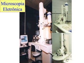 Microscopia
 Eletrônica
 