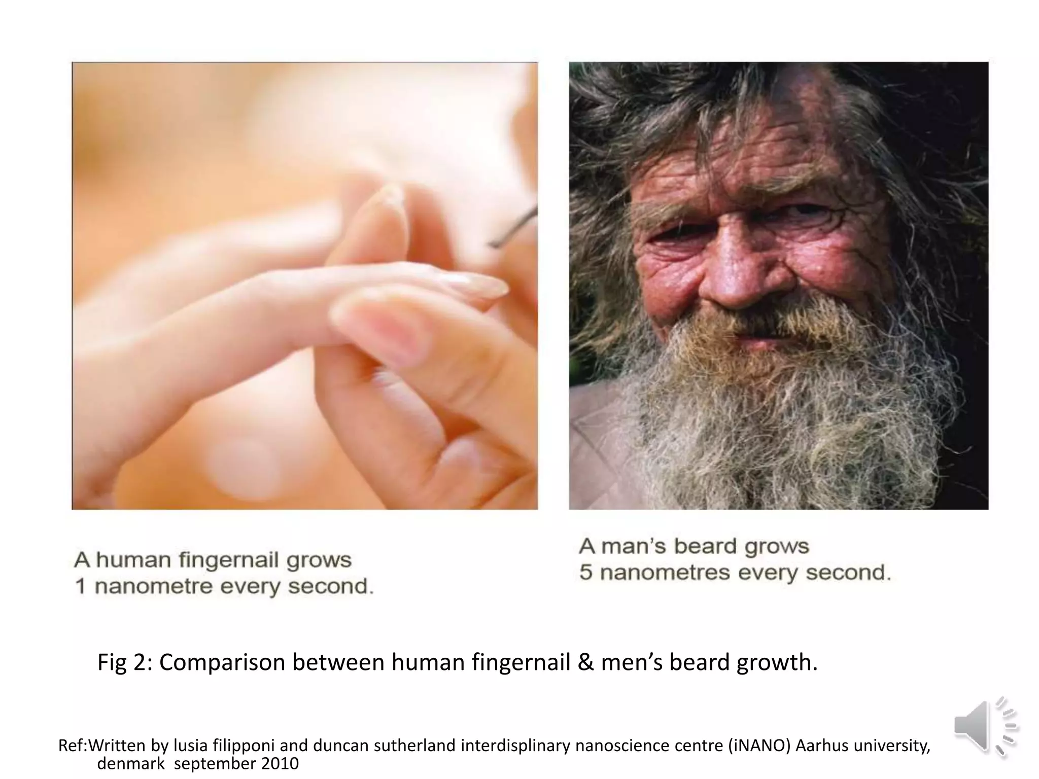 Ref:Written by lusia filipponi and duncan sutherland interdisplinary nanoscience centre (iNANO) Aarhus university,
denmark september 2010
Fig 2: Comparison between human fingernail & men’s beard growth.
 