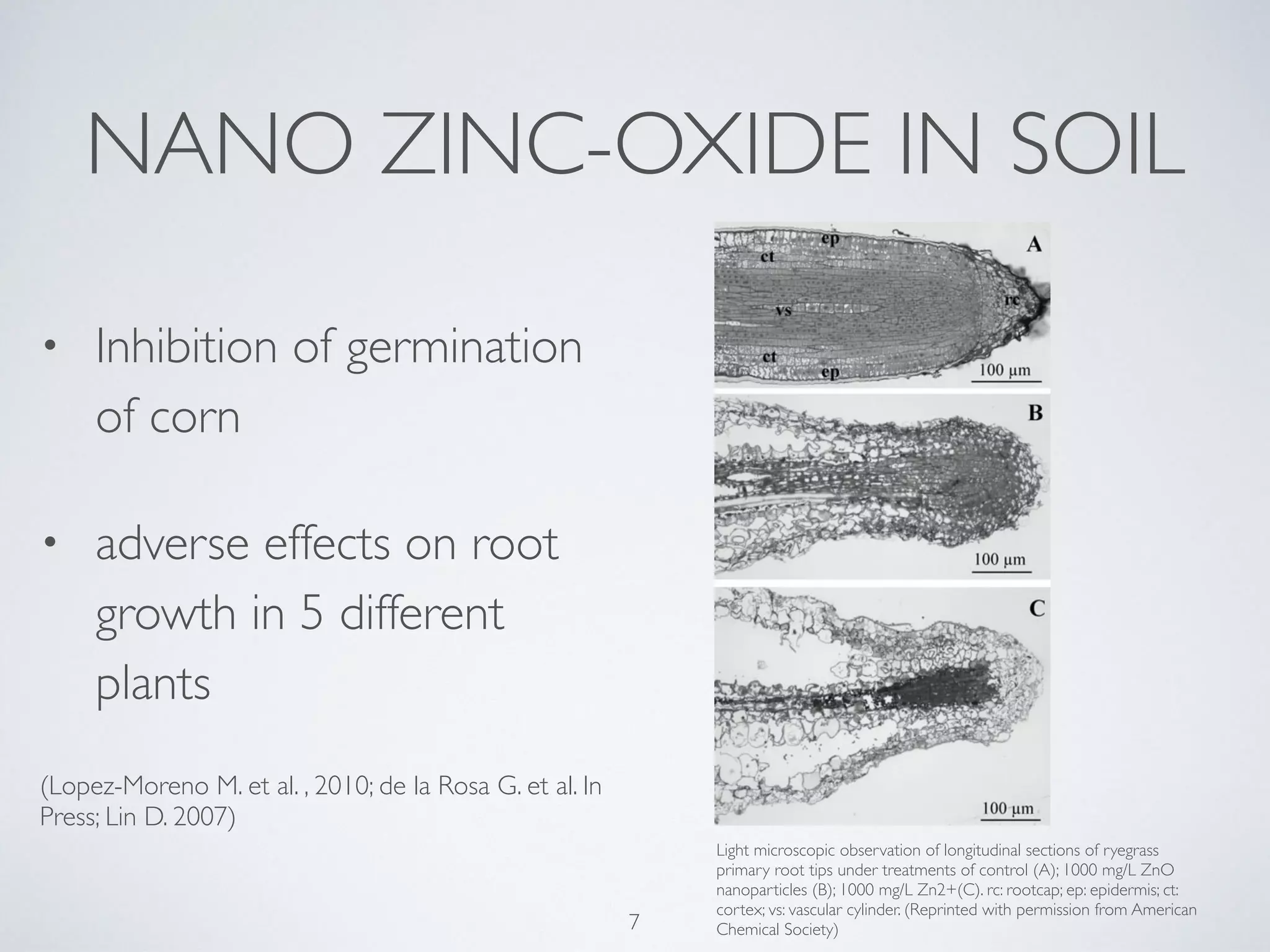 NANO ZINC-OXIDE IN SOIL
Light microscopic observation of longitudinal sections of ryegrass
primary root tips under treatments of control (A); 1000 mg/L ZnO
nanoparticles (B); 1000 mg/L Zn2+(C). rc: rootcap; ep: epidermis; ct:
cortex; vs: vascular cylinder. (Reprinted with permission from American
Chemical Society)
• Inhibition of germination
of corn
• adverse effects on root
growth in 5 different
plants
(Lopez-Moreno M. et al. , 2010; de la Rosa G. et al. In
Press; Lin D. 2007)
7
 