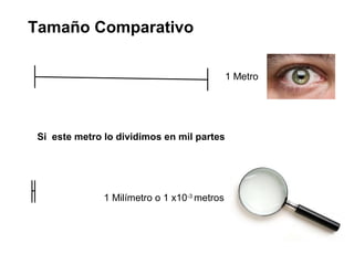 Tamaño Comparativo
1 Metro
Si este metro lo dividimos en mil partes
1 Milímetro o 1 x10-3
metros
 