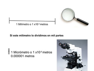 Si este milímetro lo dividimos en mil partes
1 Milímetro o 1 x10-3
metros
1 Micrómetro o 1 x10-6
metros
0.000001 metros
 