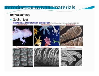 Introduction
● Gecko feet
Introduction to Nanomaterials
 