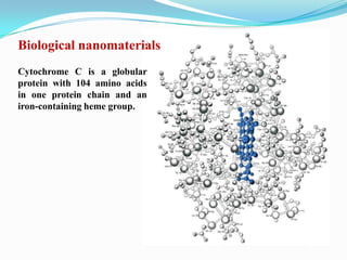 Biological nanomaterials
Cytochrome C is a globular
protein with 104 amino acids
in one protein chain and an
iron-containing heme group.
 