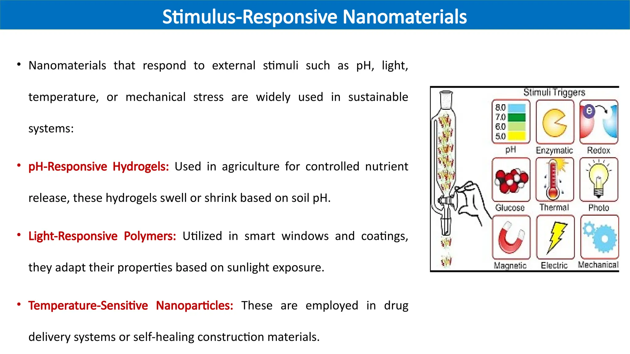 • Nanomaterials that respond to external stimuli such as pH, light,
temperature, or mechanical stress are widely used in sustainable
systems:
• pH-Responsive Hydrogels: Used in agriculture for controlled nutrient
release, these hydrogels swell or shrink based on soil pH.
• Light-Responsive Polymers: Utilized in smart windows and coatings,
they adapt their properties based on sunlight exposure.
• Temperature-Sensitive Nanoparticles: These are employed in drug
delivery systems or self-healing construction materials.
Stimulus-Responsive Nanomaterials
 