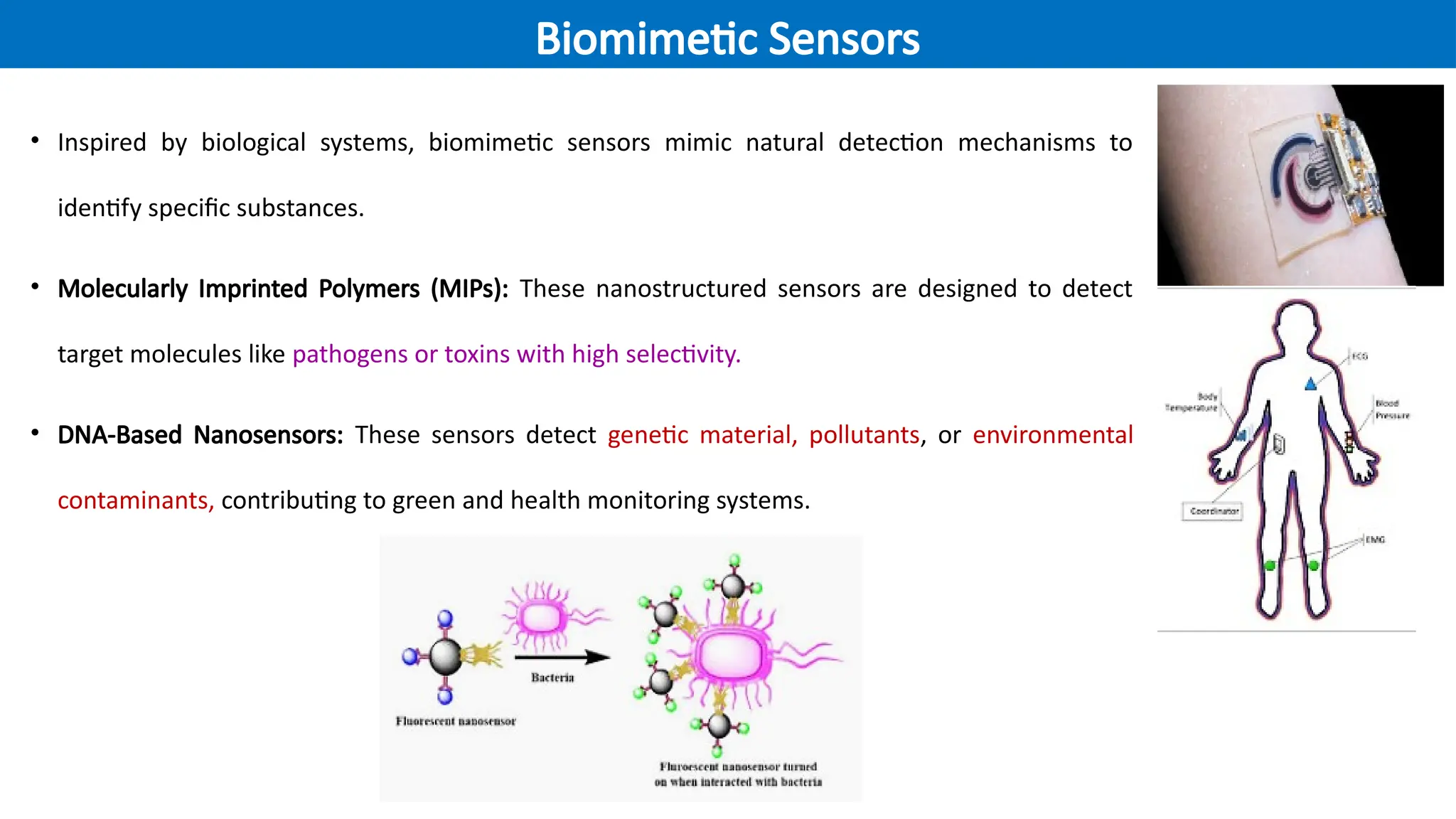• Inspired by biological systems, biomimetic sensors mimic natural detection mechanisms to
identify specific substances.
• Molecularly Imprinted Polymers (MIPs): These nanostructured sensors are designed to detect
target molecules like pathogens or toxins with high selectivity.
• DNA-Based Nanosensors: These sensors detect genetic material, pollutants, or environmental
contaminants, contributing to green and health monitoring systems.
Biomimetic Sensors
 