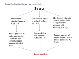 Biomedical applications of nanomaterials …
3 cases
Flouroscent
staining happens
(fig5: (a))
Reason:presence of
antigen containing
cancer cell and
antibody capped
nanoparticles(QD-
PSMA)
QDs doesnot attach
to cell wall surface
(fig5: (b))
Reason: QDs are
not anchored
with antibody
QDs doesnot attach to
cell wall surface even
though they are
anchored with
antibody(fig 5: (c))
Reason: absence of
target antigen cell wall
or non-cancerous PC-
3 cells
Target specificity
 