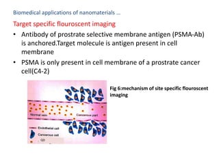 Biomedical applications of nanomaterials …
Target specific flouroscent imaging
• Antibody of prostrate selective membrane antigen (PSMA-Ab)
is anchored.Target molecule is antigen present in cell
membrane
• PSMA is only present in cell membrane of a prostrate cancer
cell(C4-2)
Fig 6:mechanism of site specific flouroscent
imaging
 