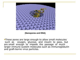 (Nanopores and DNA) These pores are large enough to allow small molecules  such  as  oxygen,  glucose,  and  insulin  to  pass,  but  are small  enough  to  impede  the  passage  of  much  larger immune system molecules such as immunoglobulin and graft-borne virus particles. 