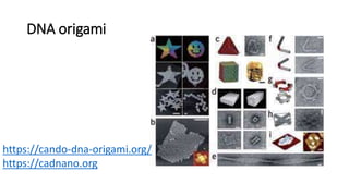 DNA origami
https://cando-dna-origami.org/
https://cadnano.org
 