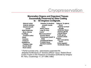 Mammalian Organs and Organized Tissues Successfully Preserved by Slow Cooling to   60 Degrees Centigrade. * Partial success only;  pancreases supported life. Adapted from  Analysis of “Solution Effects” Injury: Rabbit Renal  Cortex Frozen in the Presence of Dimethyl Sulfoxide ,  by Gregory  M. Fahy, Cryobiology 17, 371-388 (1980) Adrenal cortex Anterior pituitary Arterial smooth  muscle Atrial fragments Bone marrow Cartillage Cerebral cortex  (fetal) Corneas Embryos Epididymus Fallopian tube Hearts (fetal) Heart valves Intestine & intestinal  smooth muscle  strips Kidney tissue Legs (in vivo) Livers* Microvasculature* Ovarian tissue Pancreases (adult* &  fetal) Parathyroid tissue Prostate tissue Seminal vesicles Skin Spleens* & splenic  tissue Superior cervical  ganglia Testicular tissue Thymus glands Thyroid tissue Tooth germs Trachea (fetal) Ureters Uteri and uterine  horns* Veins (jugular) Ventricular tissue Cryopreservation 