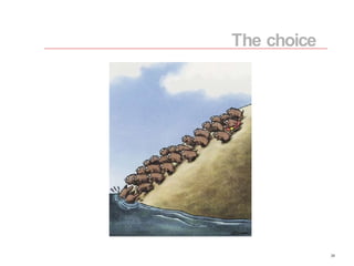 The choice 