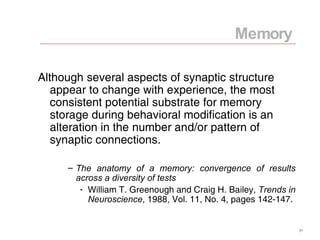 Although several aspects of synaptic structure appear to change with experience, the most consistent potential substrate for memory storage during behavioral modification is an alteration in the number and/or pattern of synaptic connections. The anatomy of a memory: convergence of results across a diversity of tests William T. Greenough and Craig H. Bailey,  Trends in Neuroscience , 1988, Vol. 11, No. 4, pages 142-147. Memory 